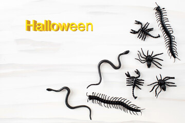Obraz premium Halloween background with spiders and snakes. With the text Halloween