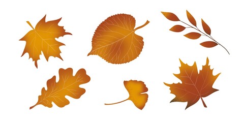 Set of oak maple linden and other withering autumn leaves hand-drawn digital illustration