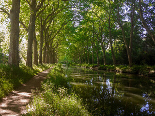 River near the path in a dense forest in Canal du Midi, Toulouse, France, Beautiful spring view of Canal du Midi with trees reflection in water
