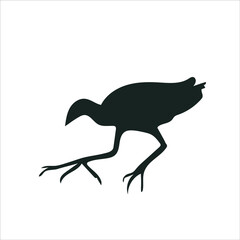 Gallinule Vector Silhouette isolated on white background