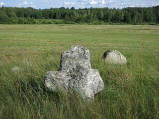 An old pagan cemetery in Belarus. Stone gray granite cross, humanoid on a green meadow in summer