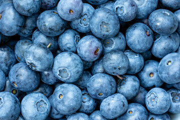 blueberries in a bowl