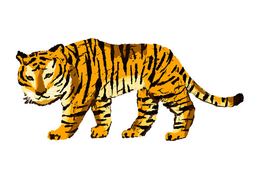 911 Best 動物柄 Images Stock Photos Vectors Adobe Stock