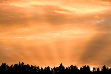 The sun's rays rise upward, illuminating the sky like a searchlight. Golden sky.