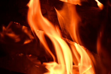 Fototapeta premium The fire. Bright orange flames. A black red-hot log is visible between the flames. Dark background
