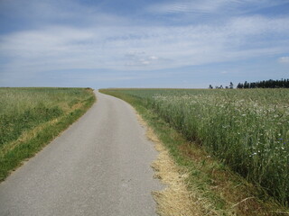 Straße zum Horizont