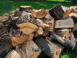 A pile of sawn and chopped logs lie on the grass next to the stump. Logging, firewood preparation. Natural background with chipped and sawn wood.