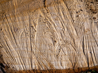 The texture of the sawn wood close-up. On the wooden surface, grooves of various shapes are visible, directed in different directions. Natural abstract background with wood texture. - obrazy, fototapety, plakaty