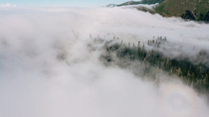 Clouds and forest aerial view