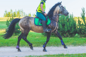 Competitor rival girl riding horse in summer field meadow.Young rider gallops through the summer...