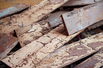 Old pile of wood that termites eat.	