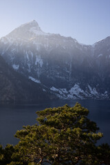 Obraz premium Wunderschöner Ausblick auf den Vierwaldstättersee. Wahnsinns Kulisse.