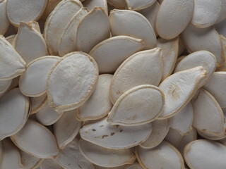 close up of a pumpkin of seeds