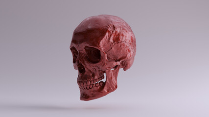 Red Metallic Gothic Human Female Skull Medical Anatomical with Teeth and Jaw Quarter Left Side 3d illustration render