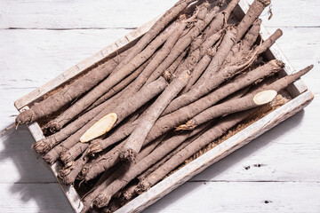 Bunch of raw Scorzonera or Spanish salsify, trendy hard light, dark shadow