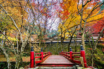 紅葉の横蔵寺参道入り口の赤い橋