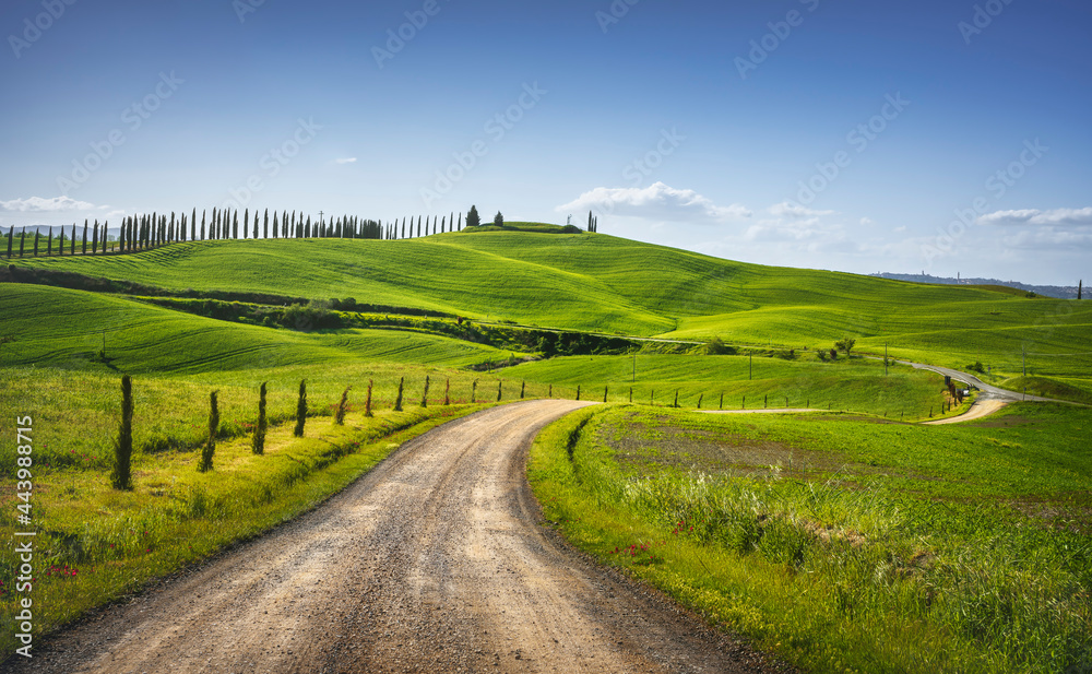 Poster monteroni d'arbia, route of the via francigena. curved road. siena, tuscany. italy