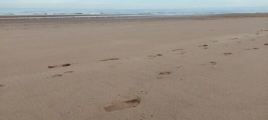footprints on the beach