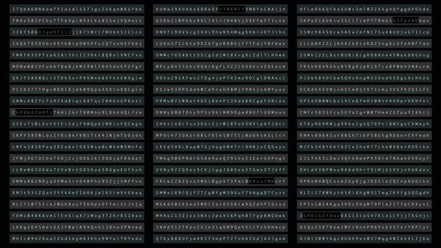 Cyber Crime concept : A programmer hacker trying to breached crypto currency address security by using algorithm source code to exploit weakness in password security background