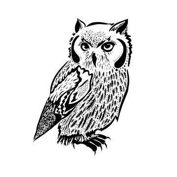 original artwork of owl, ink hand drawing in ethnic style, vector illustration in black end white colors