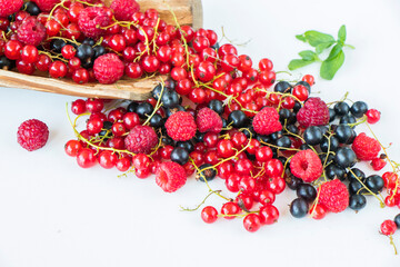 Red and black currant and loganberries on the white background. Colorful berries.