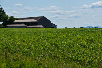 Countryside landscape with farm in Quebec, Canada