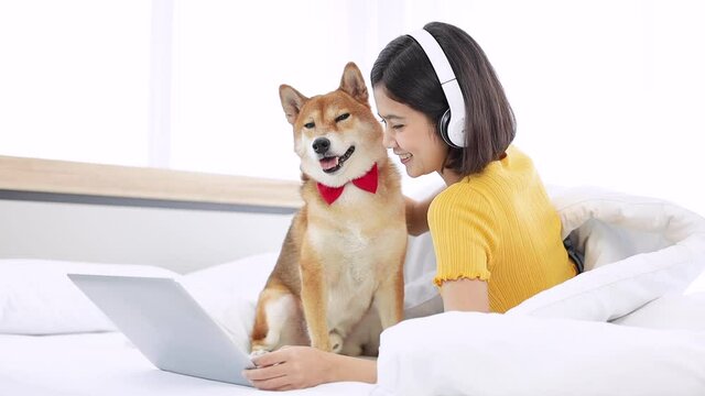 Young woman watching movie on laptop computer with a Shiba inu dog in her bedroom.