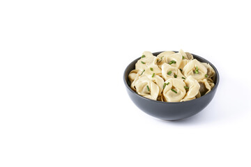 Pelmeni dumplings isolated on white background. Typical russian food	