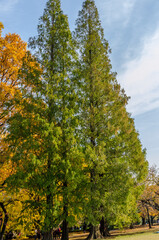 Naklejka premium Ein Park in Japan