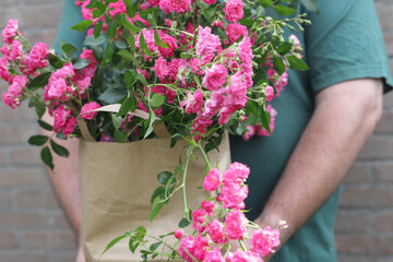 Man holds paper bag with fresh cut small pink roses for present.