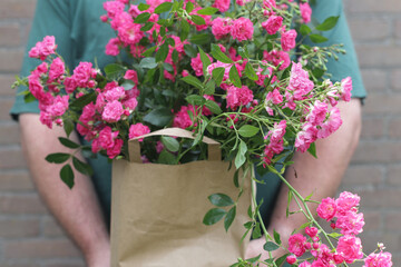 Man holds paper bag with fresh cut small pink roses for present.