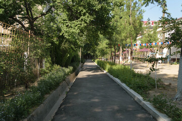 Asphalt alley in the park among trees and flowers near a children's playground