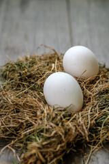 Two white chicken eggs lie in the hay on a blurry wooden background. Selective focus. Space for lettering and design