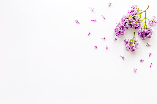Flowers composition. Purple lilac flay lay, copy space