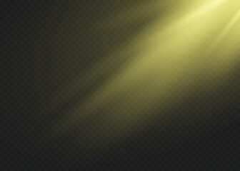 light effect - spotlight. EPS 10 vector file included.