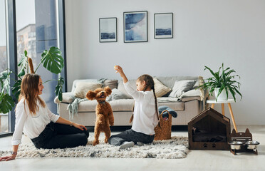 Mother with her daughter playing with dog. Cute little poodle puppy is indoors in the modern domestic room