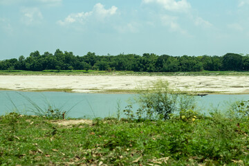 The river channel and the big trees surrounded the river
