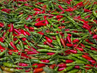 Bird's eye chilli, green and red colour chillies