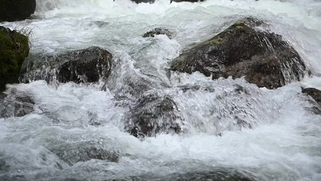 Slow motion of wild clear mountain river , stream flowing through rocks. Close up of river stones with flowing water, clean water flowing in a mountain river