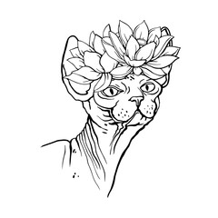 Sphinx cat with flowers. Coloring book for adults. Hand-drawn illustration. Vector