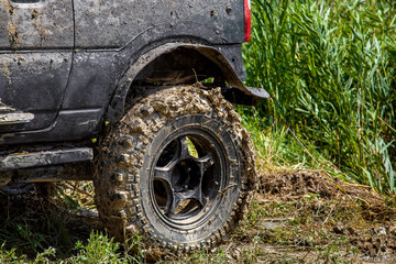 dirty rear fender and wheel in a swamp off-road tire treads on a on the banks of the river with...