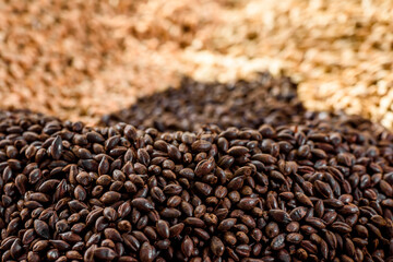 Malted grain close up. Mixed varieties of malted grain on a gray background. close-up. top view. flat lay. series of photos. space. High quality photo