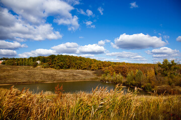 autumn landscape with lake