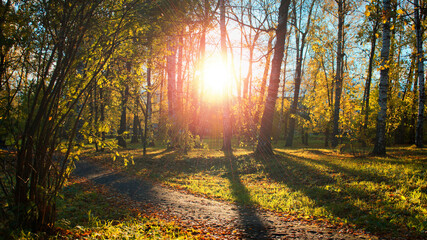 beautiful autumn landscape with the setting sun road in the park