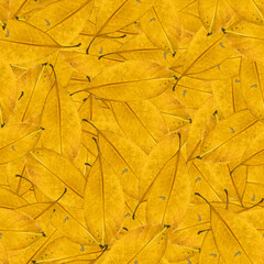 yellow palm leaves continuous pattern, texture textile