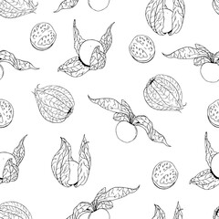 Seamless vector pattern of black line hand drawn physalis berries on white background. Design for fruit product packaging