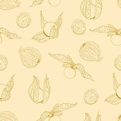 Seamless vector pattern of line hand drawn physalis berries on light orange background. Design for fruit products packaging or fabric textile