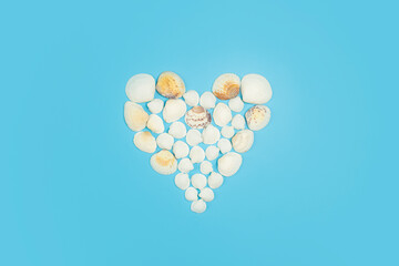 Seashells on a colored background. Heart shape made from sea shells.