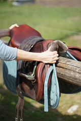 Hands taking horse saddle for riding   
