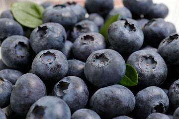 Macro shot of ripe freshly picked local produce blueberries. Close up, copy space for text, top view, background. Healthy vegan snacks full of antioxidants. Seasonal summer berries. Clean eating.